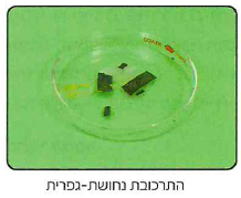 (בספר תמונה, היעזר במנחה)
